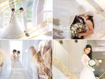 Elegant Particle Wedding Slideshow 31687220 | Free Ae Template |