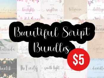 Beautiful Script Font Bundle Free Download BY Pixirak