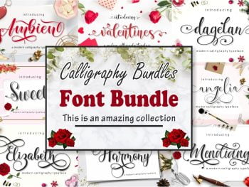Calligraphy Font Bundles