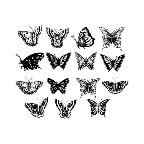 butterflies Vector Art