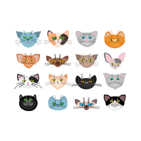 cat vector design