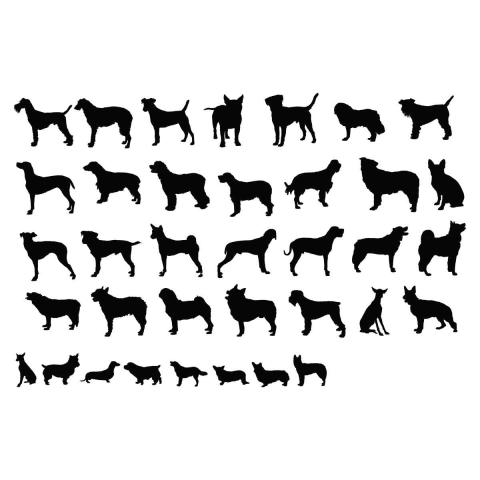 dog element vector